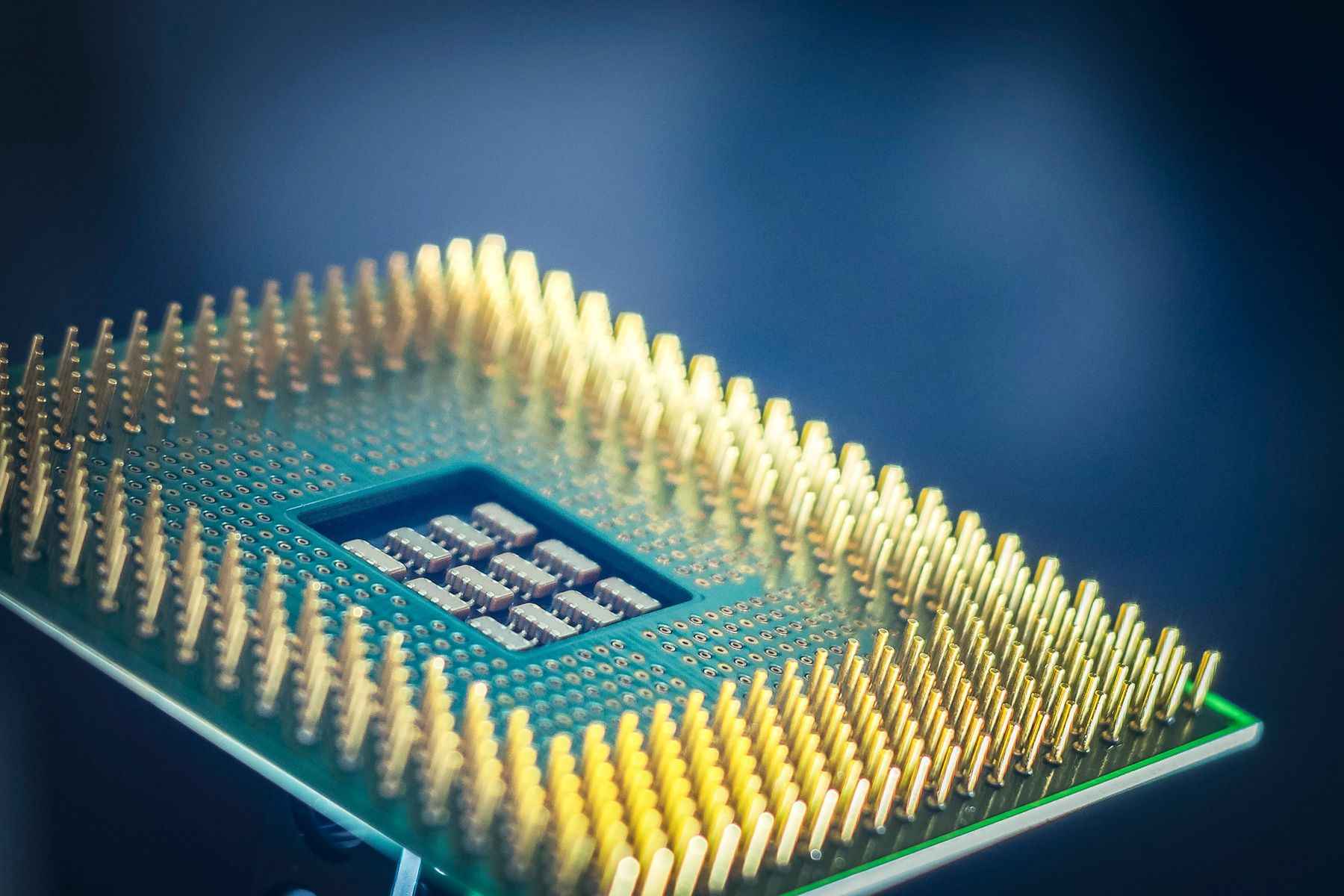 Makroaufnahme eines Prozessors mit goldenen Pins vor blauem Hintergrund
