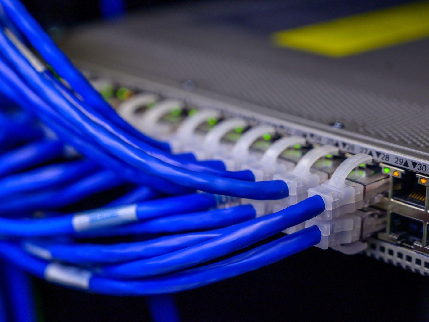 Blaue Netzwerkkabel an einem Switch